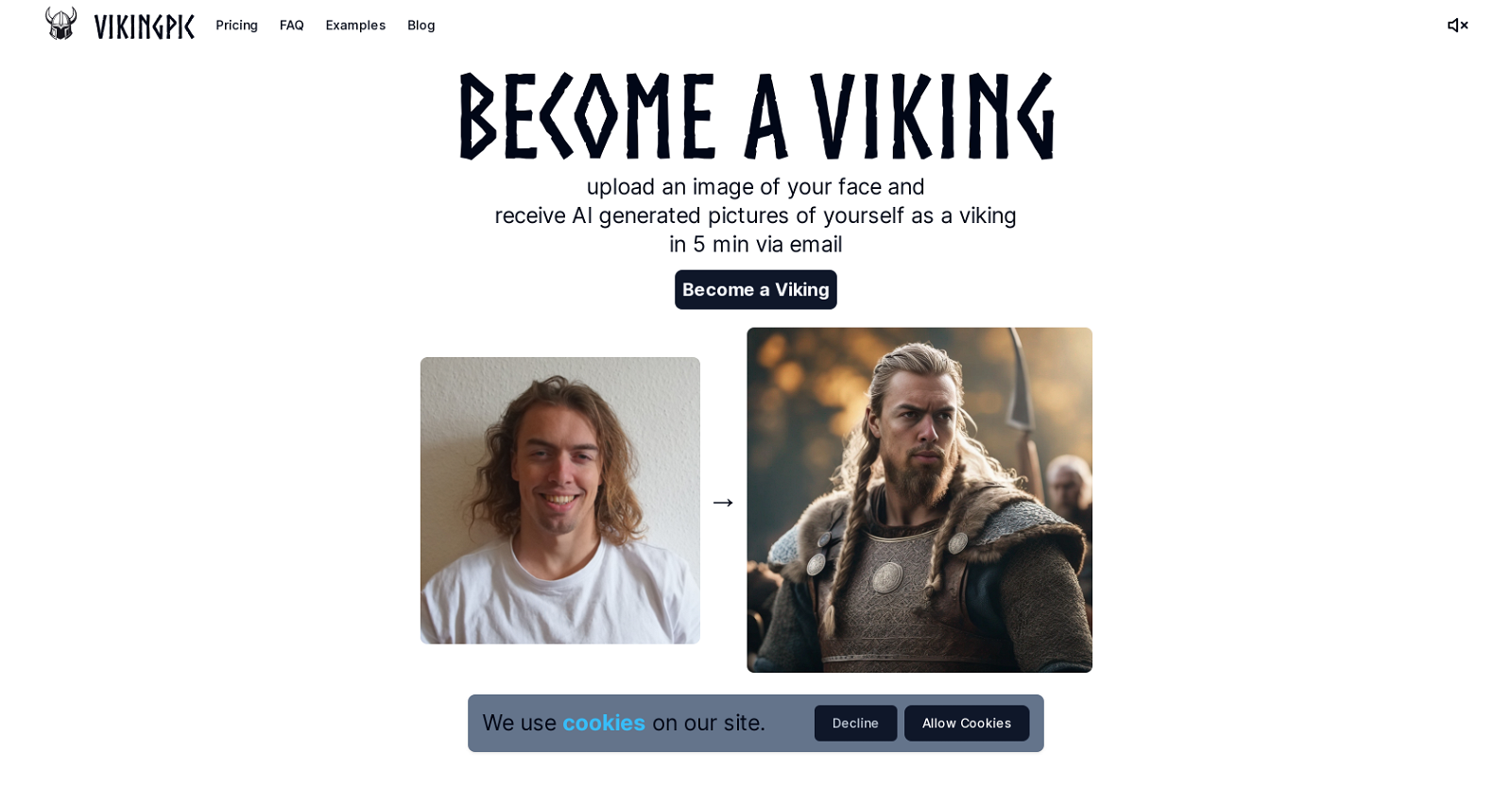 VikingPic website