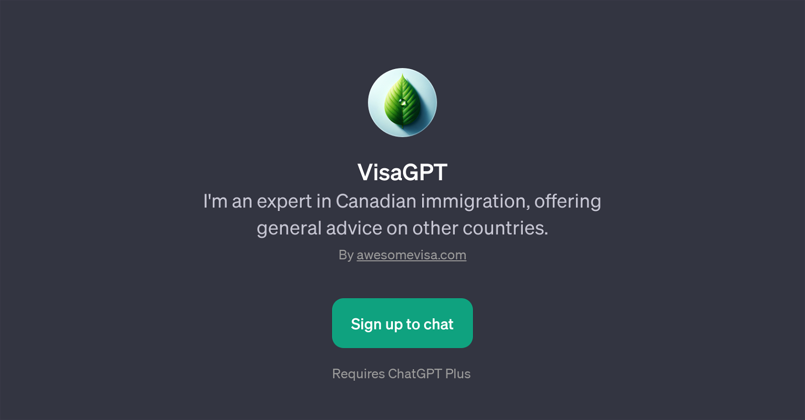 VisaGPT website