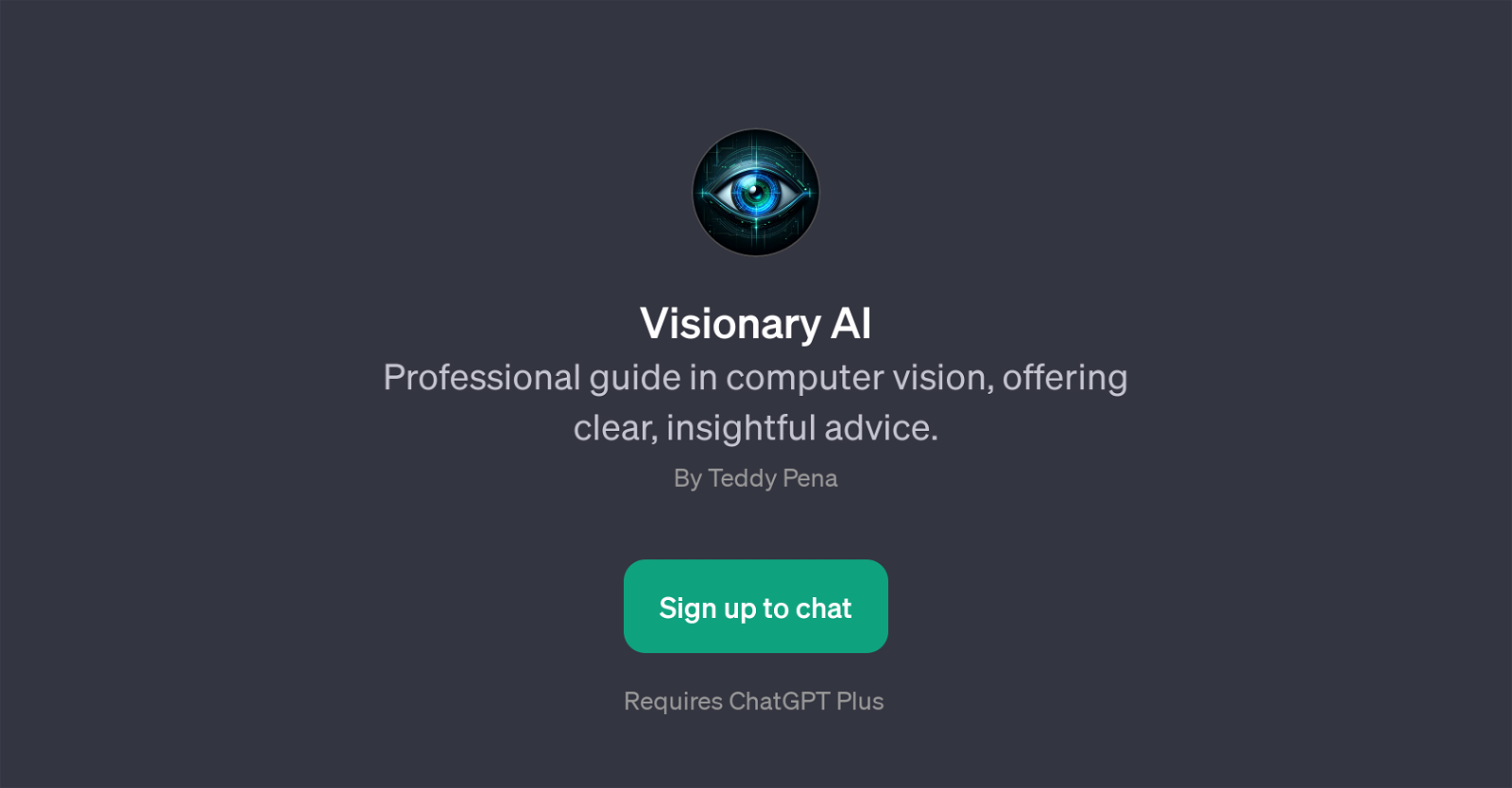 Visionary AI website