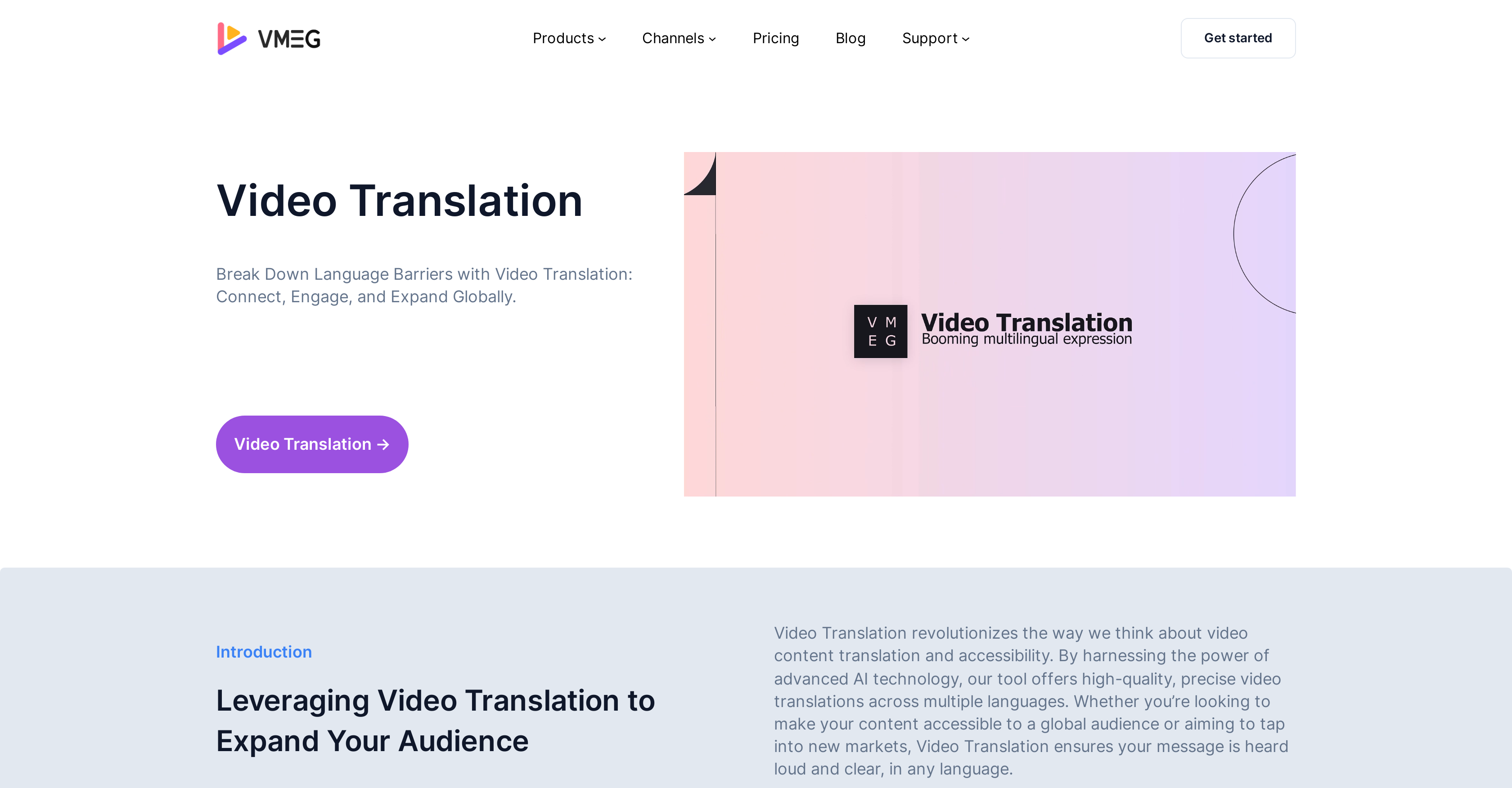 VMEG Video Translation logo