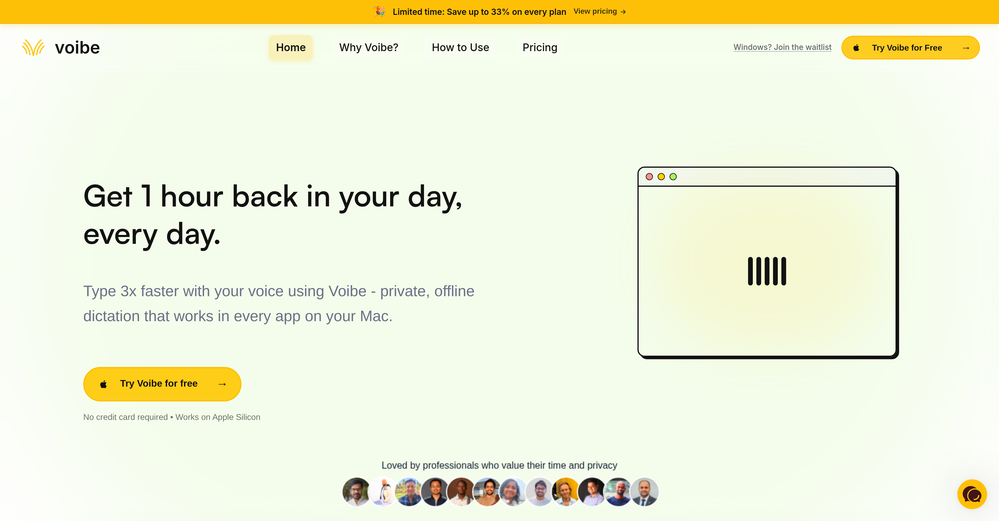 Voibe website