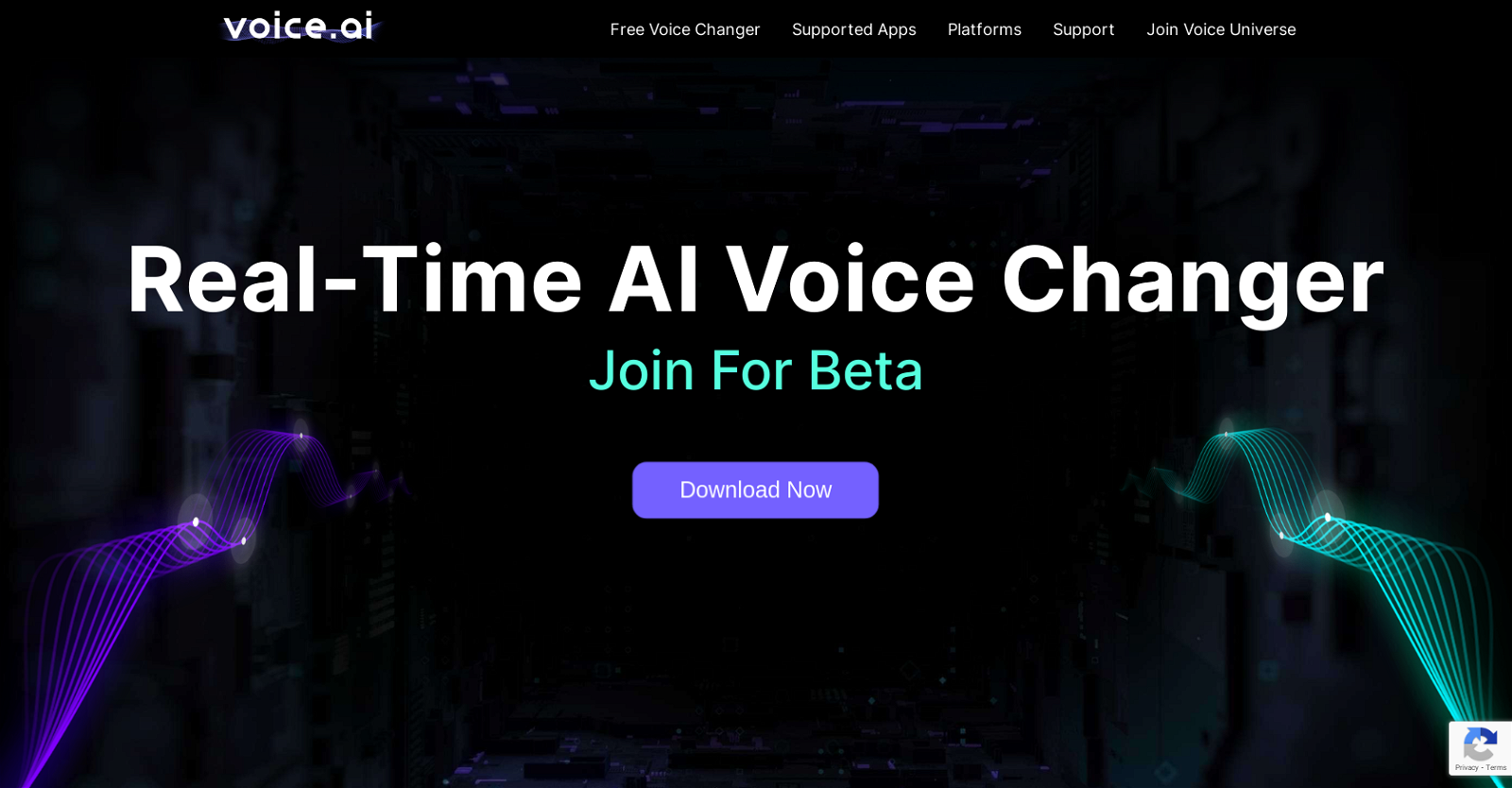 Voice AI website