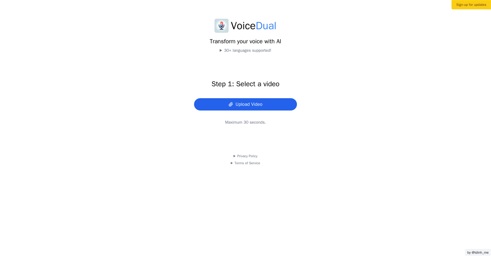 Voice Dual website
