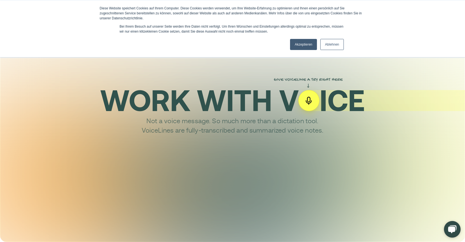 VoiceLine website