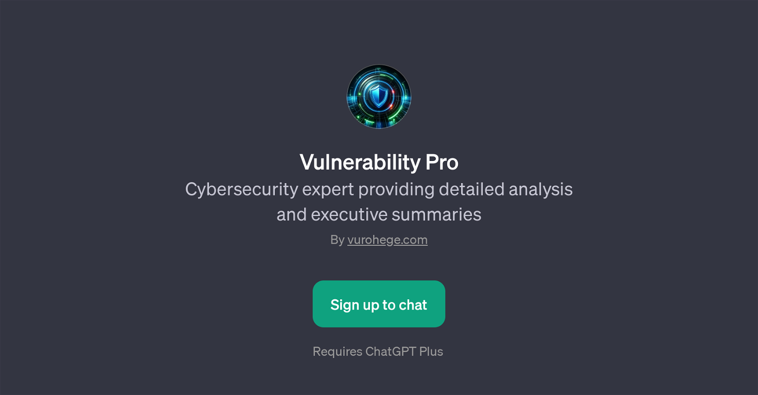 Vulnerability Pro website