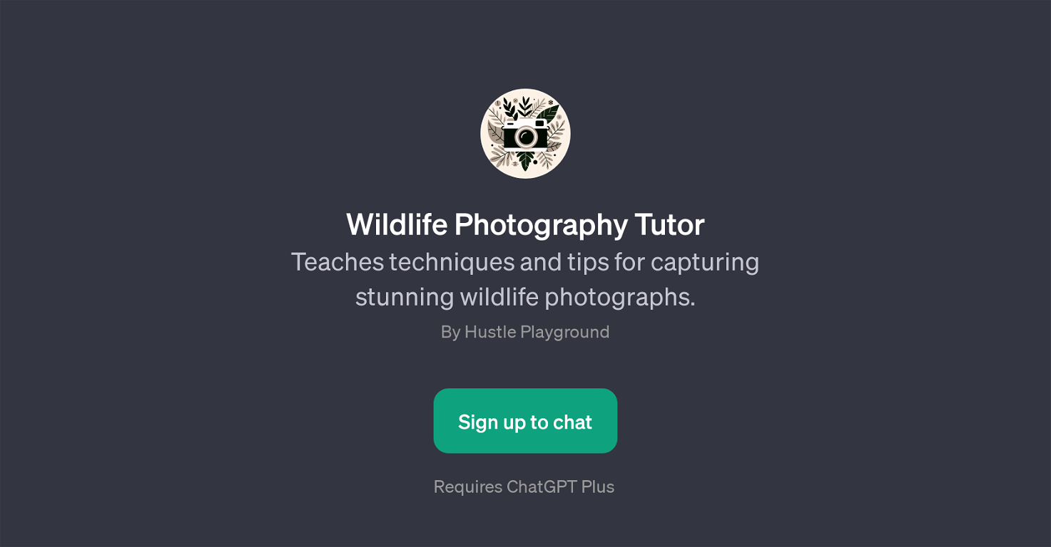 Wildlife Photography Tutor website