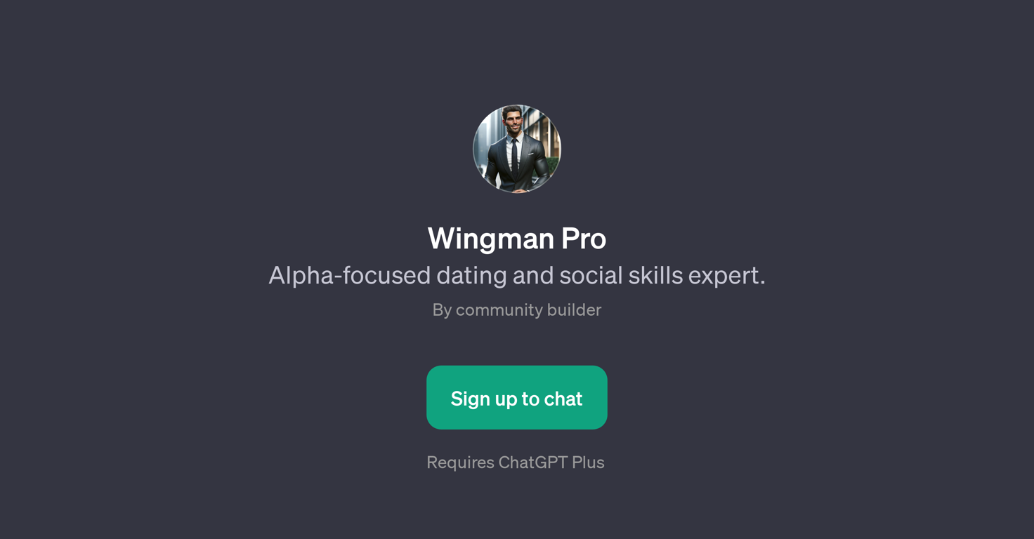 Wingman Pro website