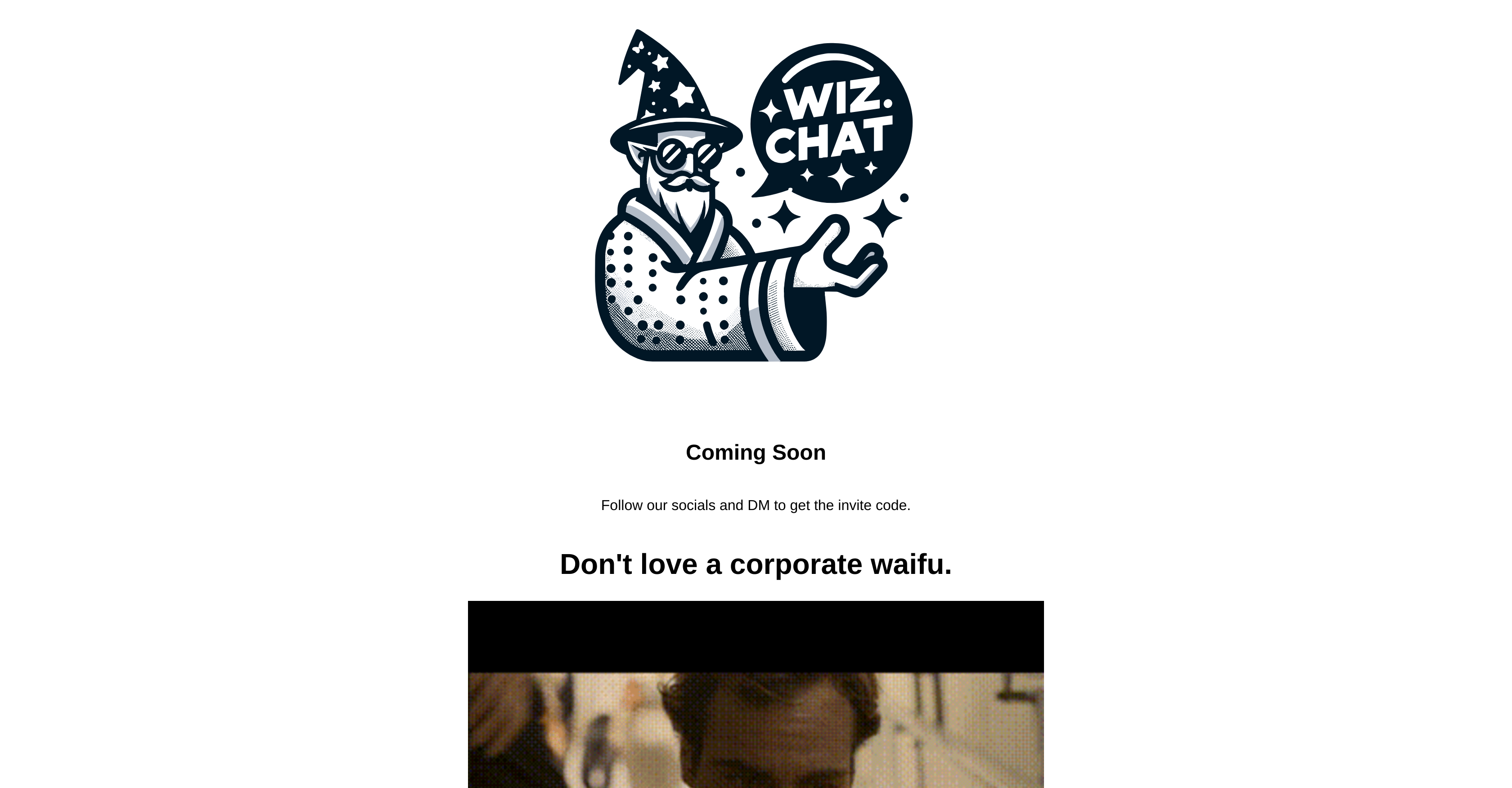 Wiz.chat website