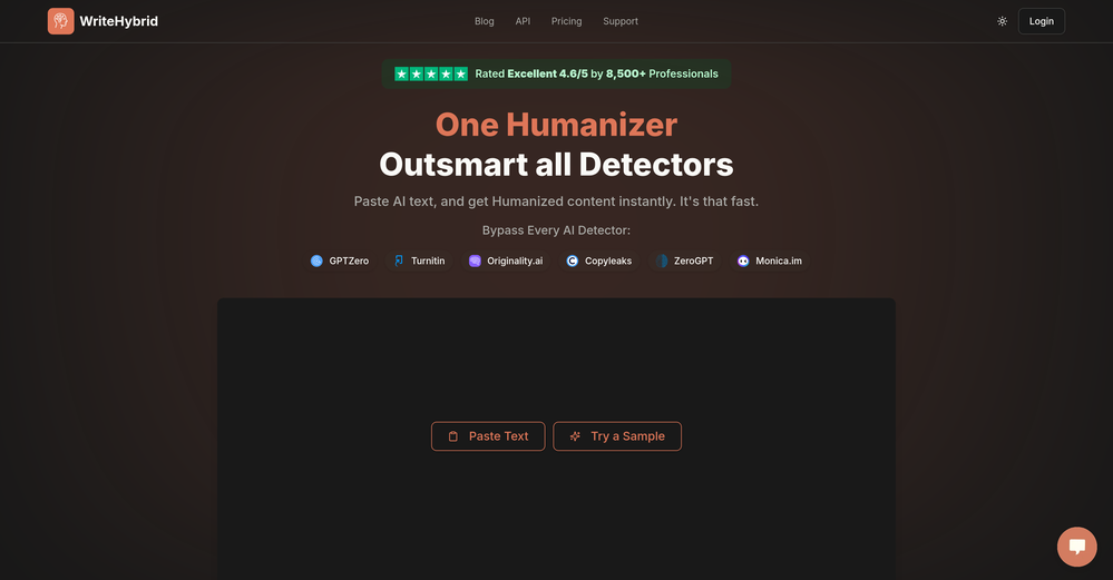 AI Humanizer by WriteHybrid website