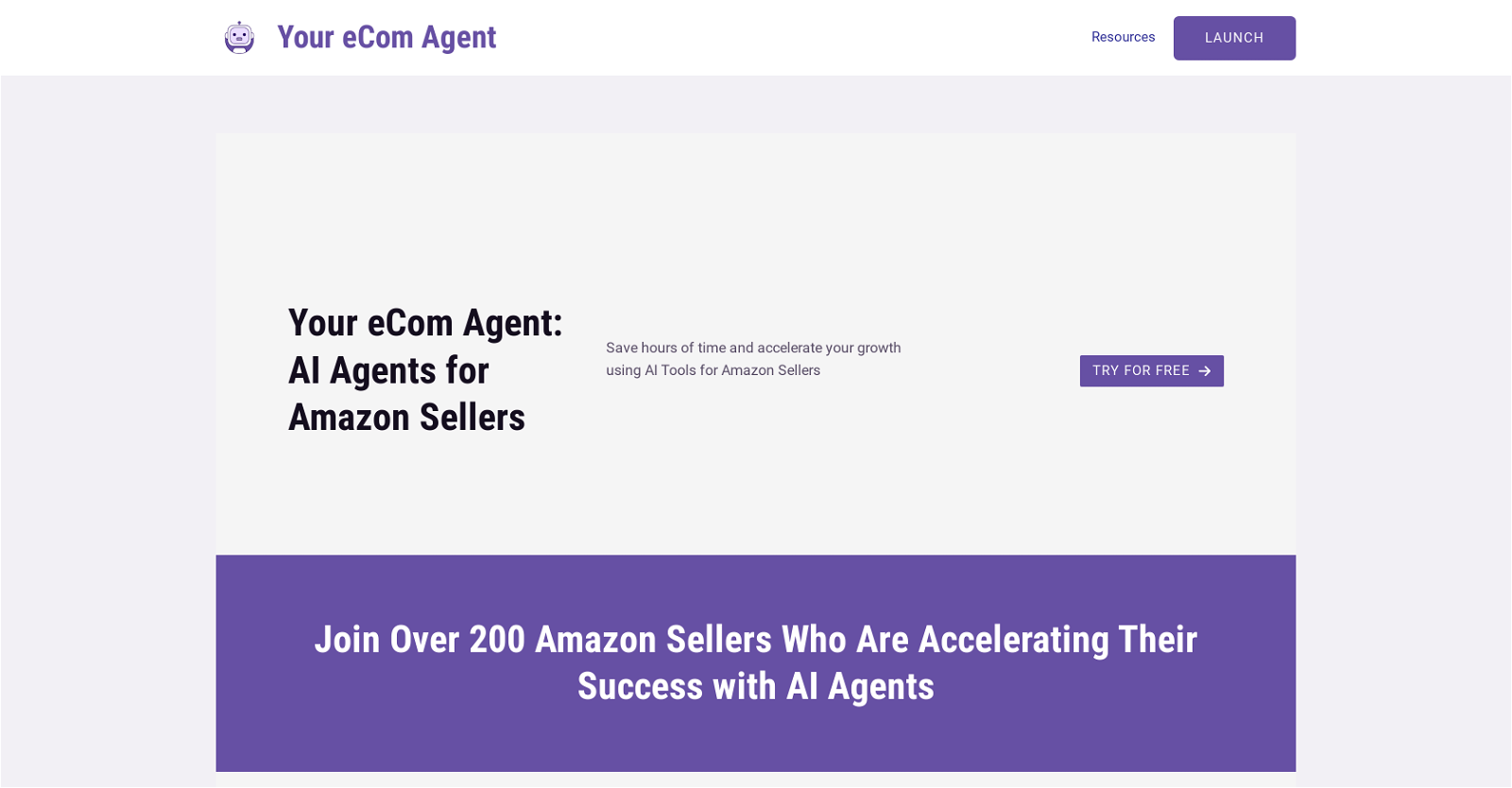 Your eCom Agent website