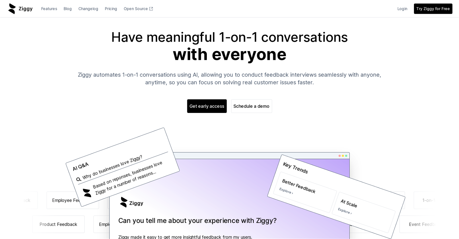 Ziggy website