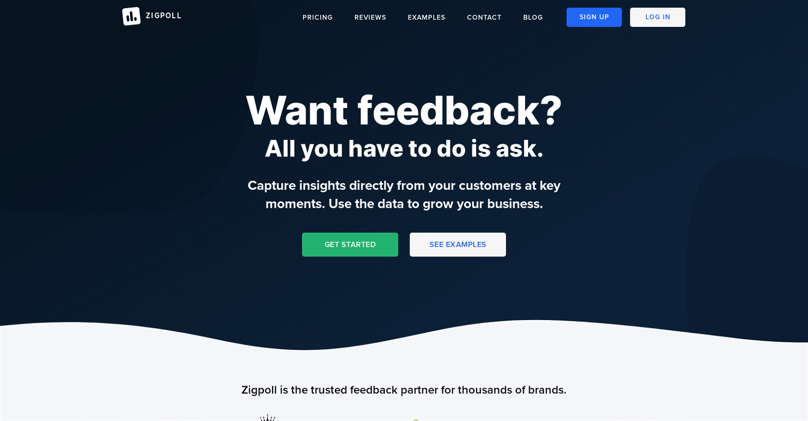 Zigpoll website